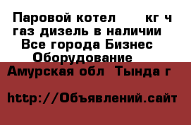 Паровой котел 2000 кг/ч газ/дизель в наличии - Все города Бизнес » Оборудование   . Амурская обл.,Тында г.